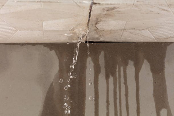 Professional Burst Pipe Cleanup technician working in Cedar Glen, CA
